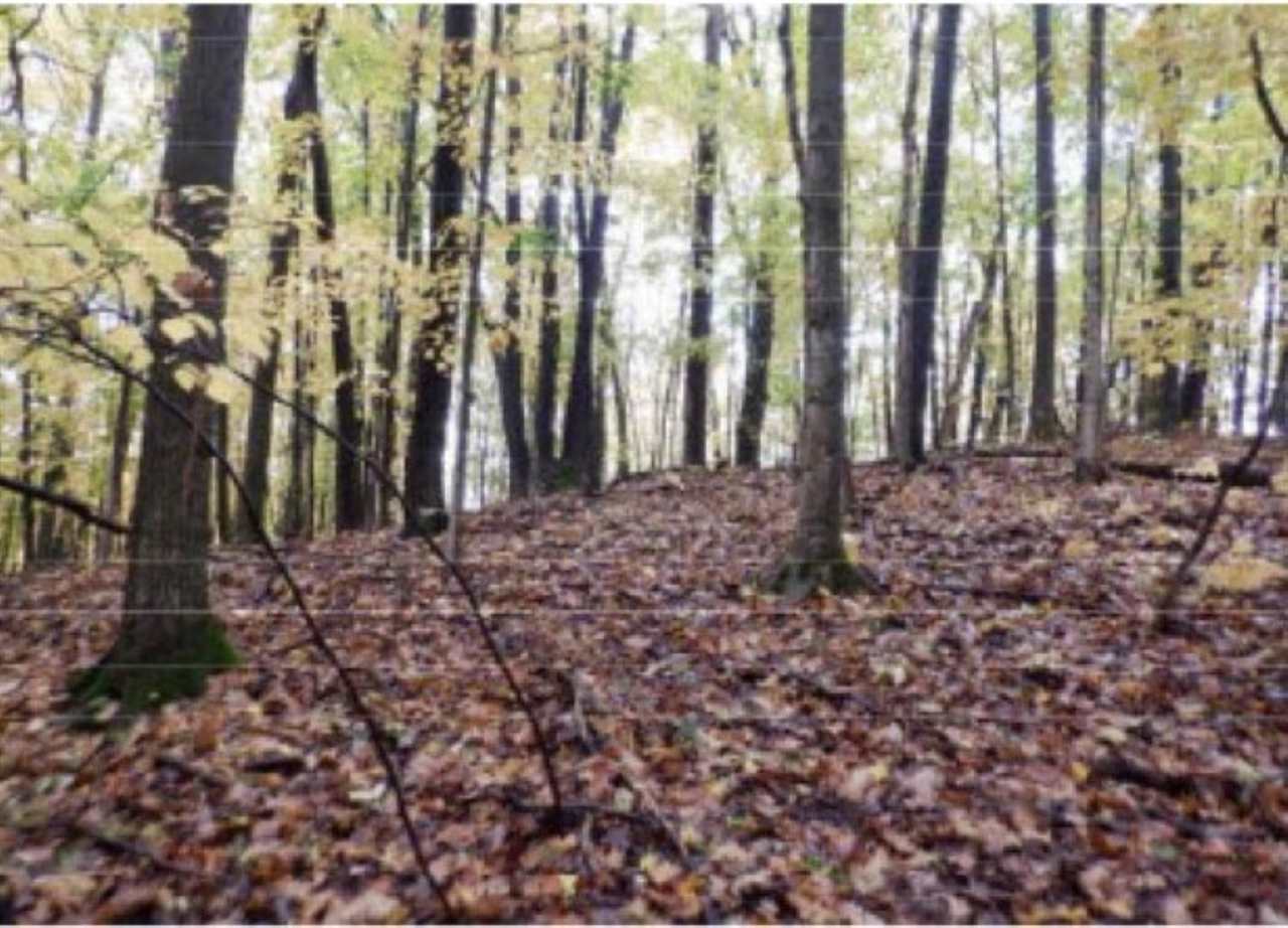 TBD N Lake Shore Drive