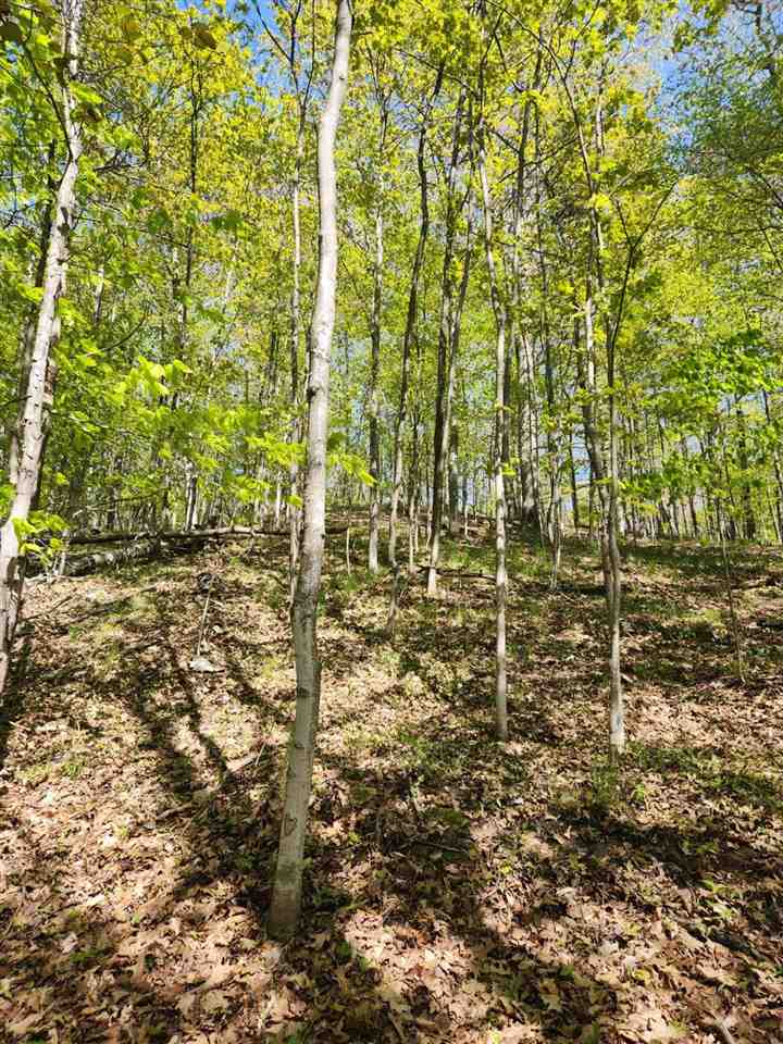 TBD N Lake Shore Drive