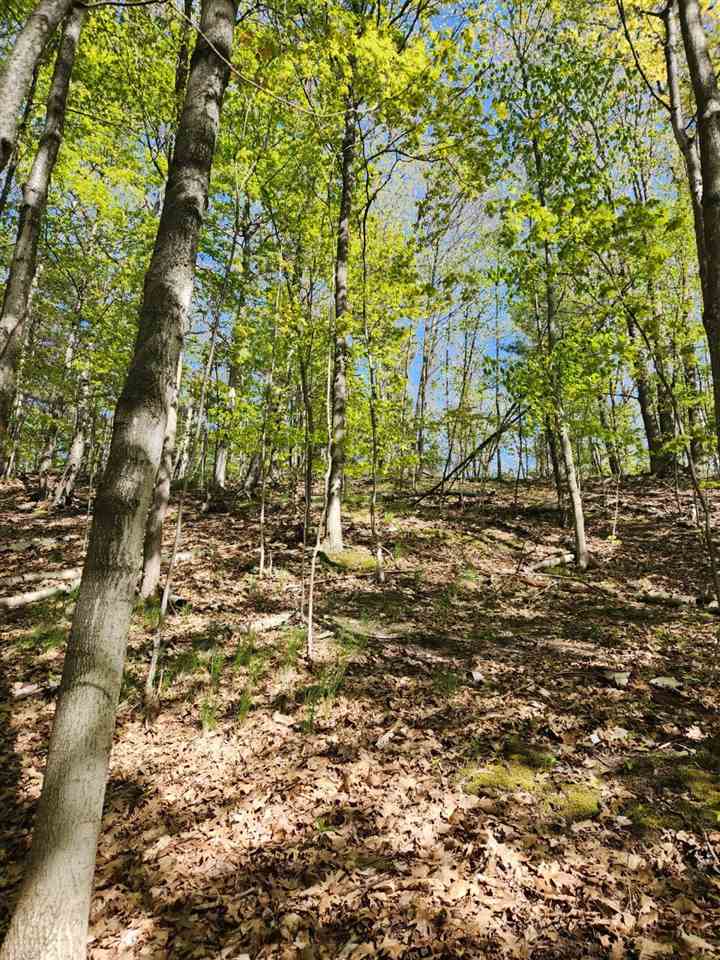 TBD N Lake Shore Drive