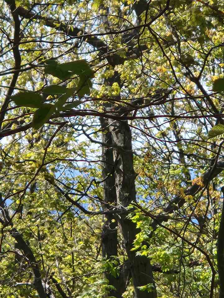 TBD N Lake Shore Drive