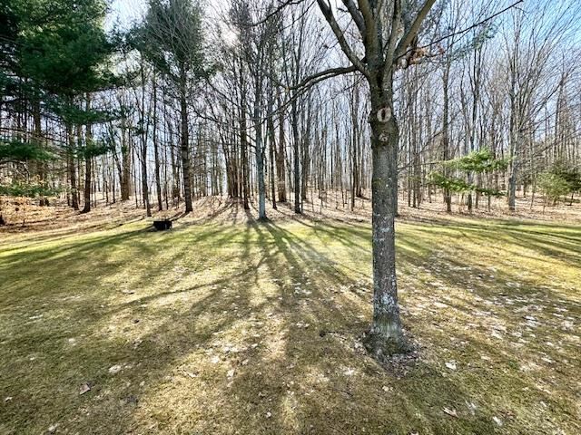 350 Warner Creek Trail