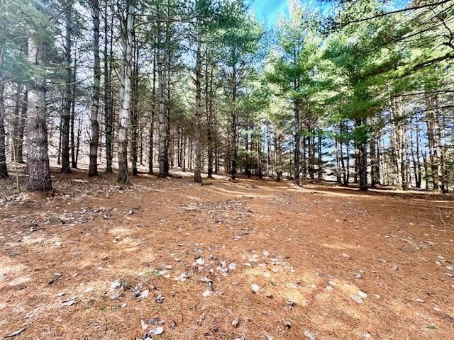 350 Warner Creek Trail