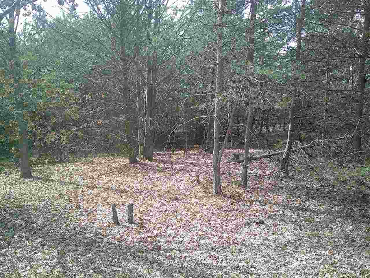 3102 Starlight Trail