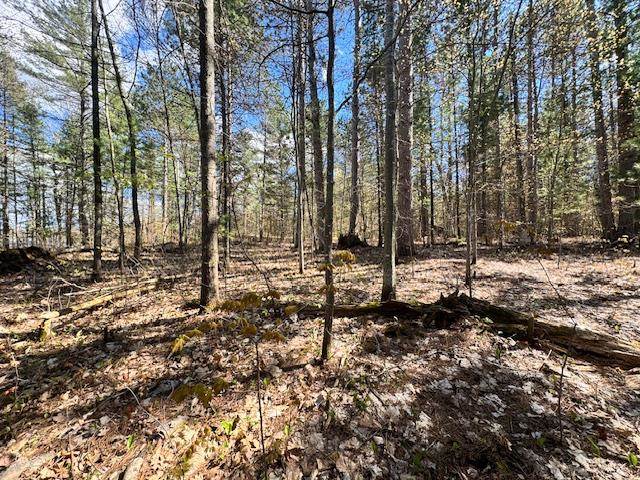 2080 Five Lakes Road