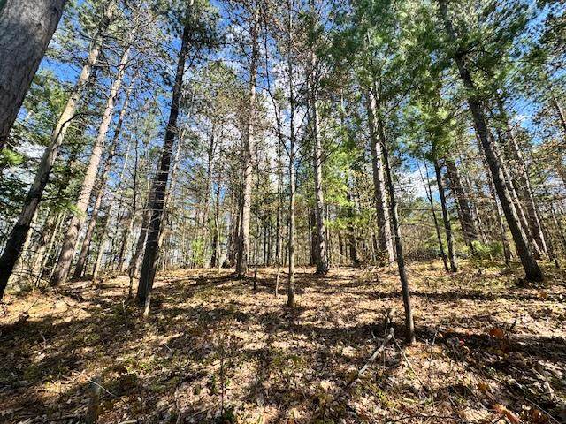 2080 Five Lakes Road