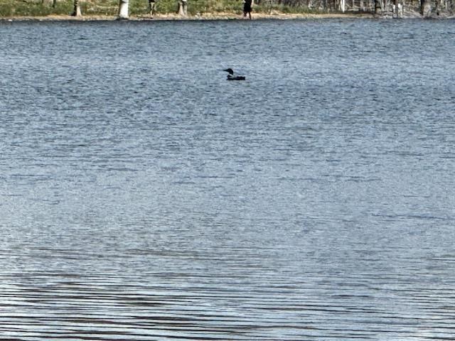 2080 Five Lakes Road