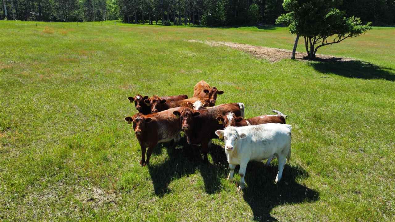 TBD Wilson parcel "A" Road