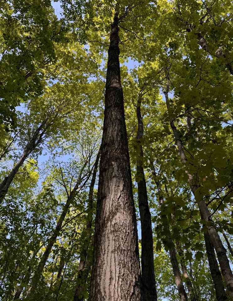 TBD Cosier parcel "F" Road