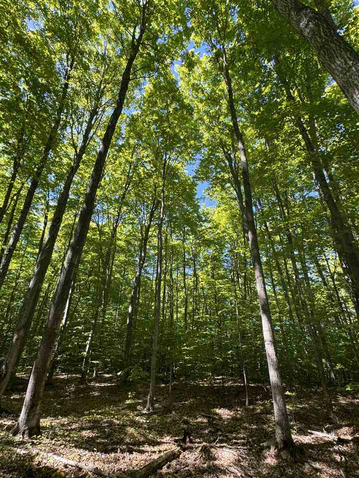 TBD Cosier parcel "F" Road