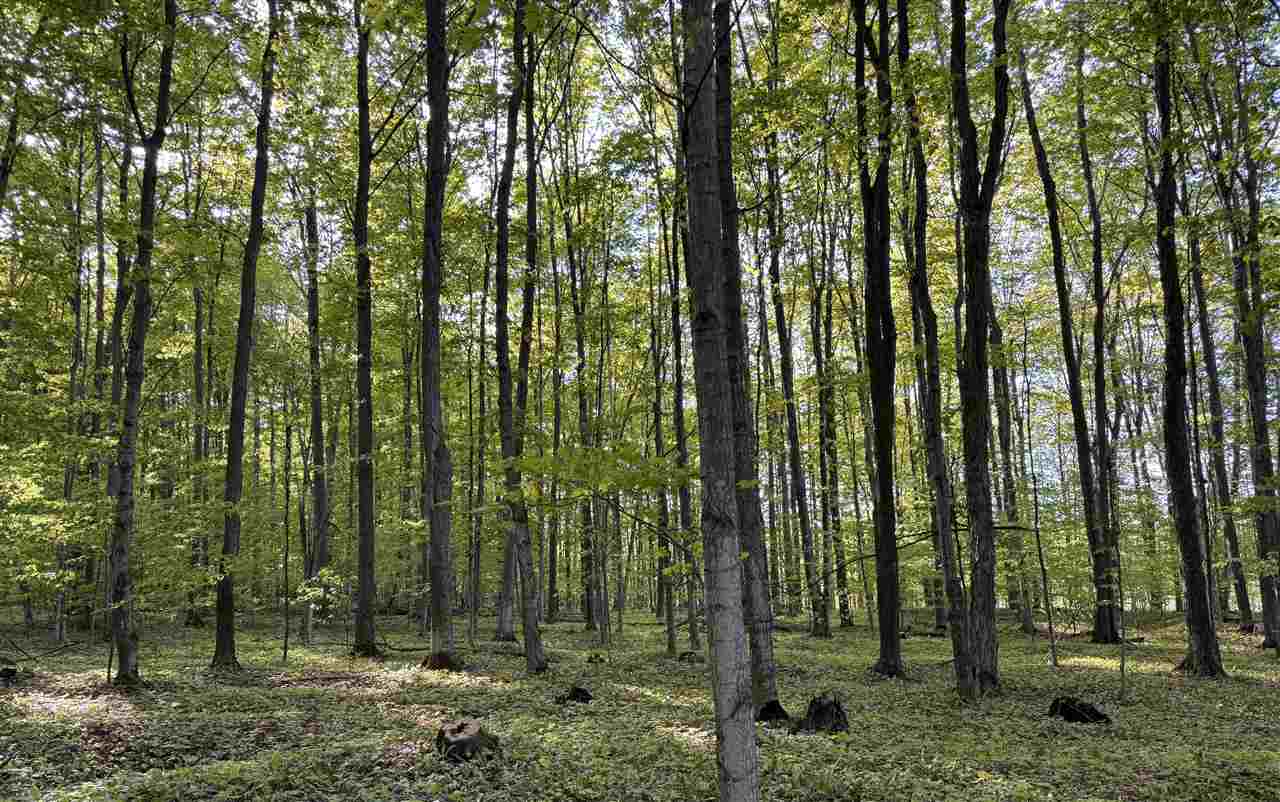 TBD Cosier parcel "F" Road