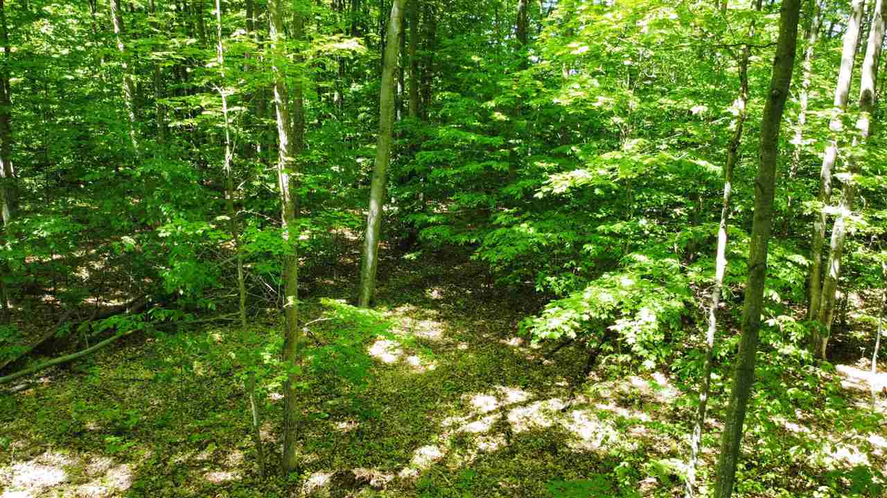 TBD Cosier parcel "F" Road