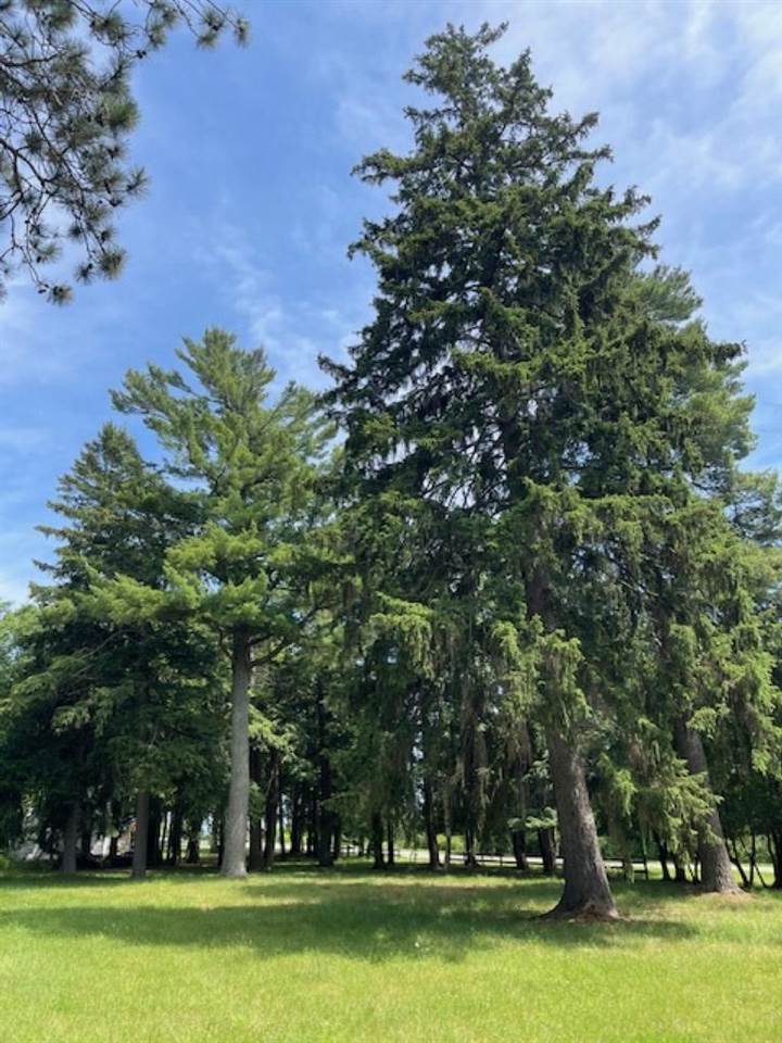 580 West Bluff Drive - Lot C Unit: LOT B
