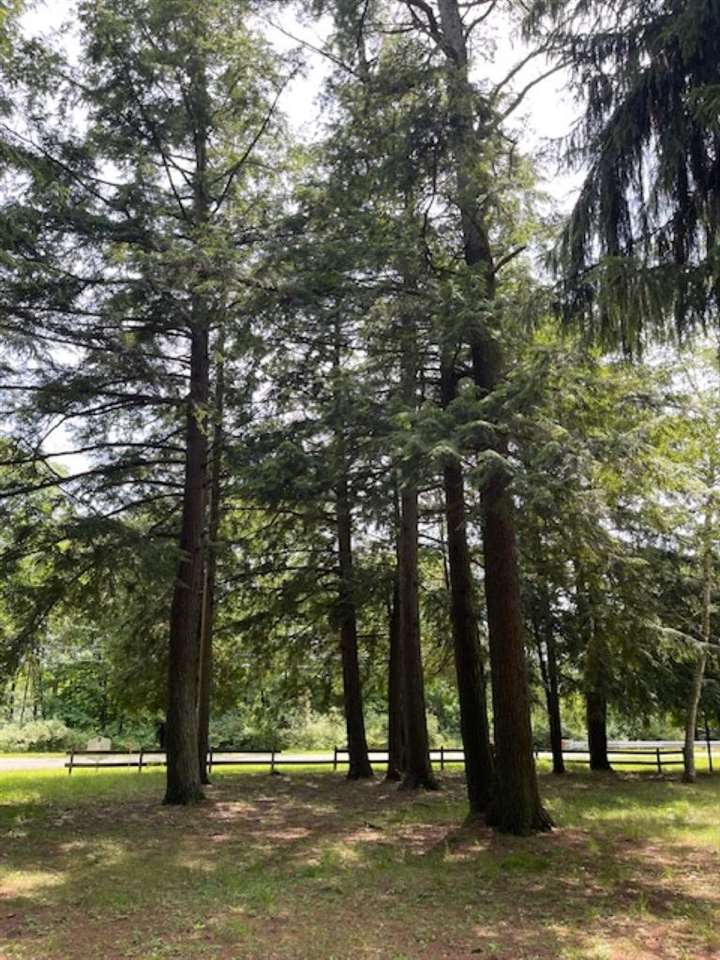 580 West Bluff Drive - Lot C Unit: LOT B