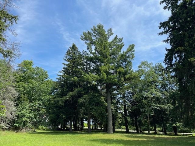 580 West Bluff Drive - Lot C Unit: LOT B