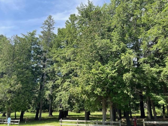 580 West Bluff Drive - Lot C Unit: LOT B