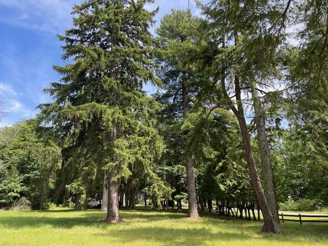 580 West Bluff Drive - Lot C Unit: LOT B