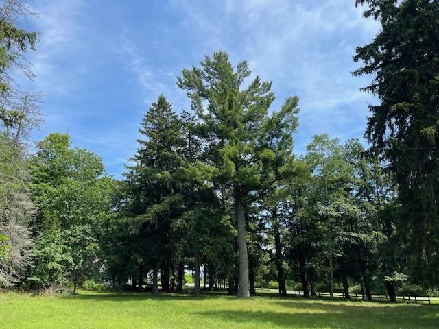580 West Bluff Drive - Lot C Unit: LOT B