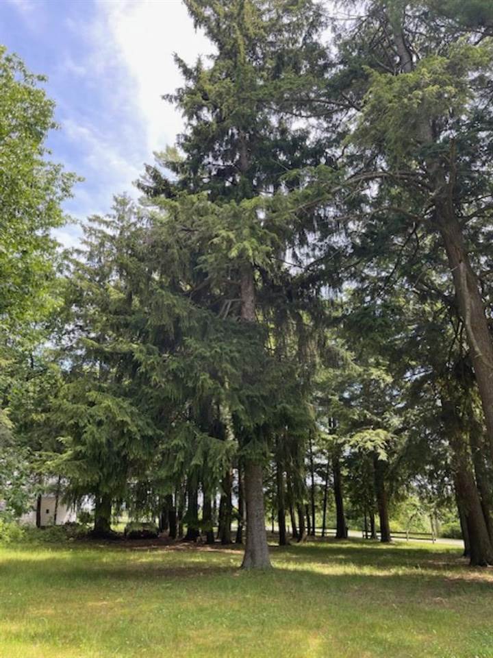 580 West Bluff Drive - Lot C Unit: LOT B