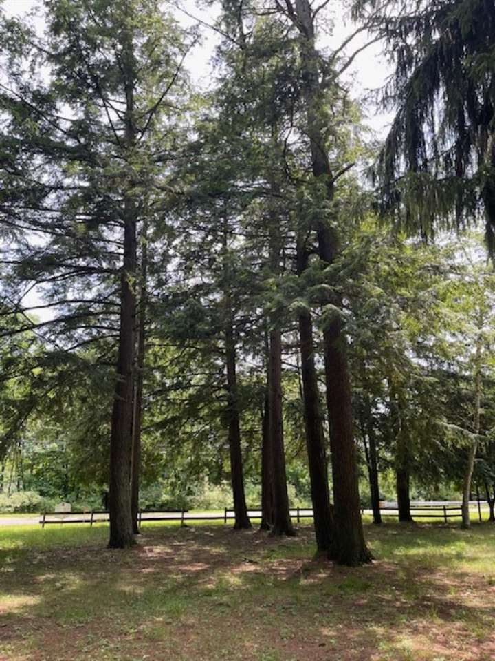 580 West Bluff Drive - Lot C Unit: LOT B