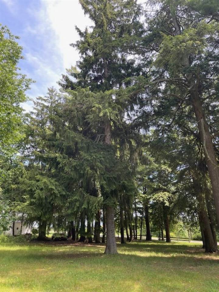 580 West Bluff Drive - Lot C Unit: LOT B