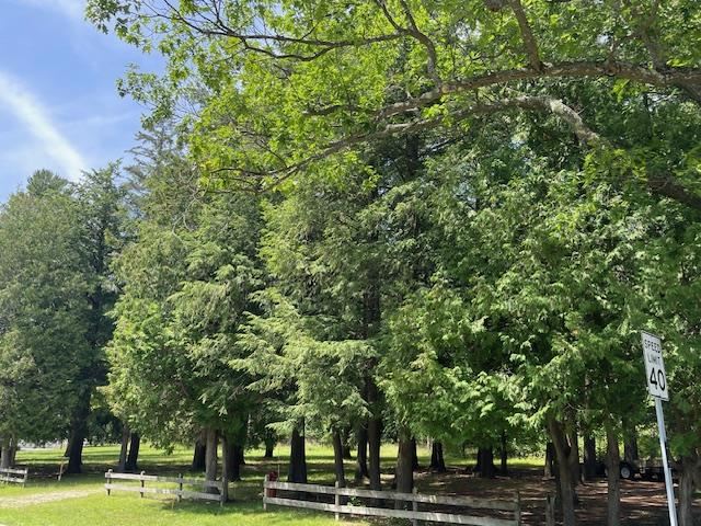 580 West Bluff Drive - Lot C Unit: LOT B