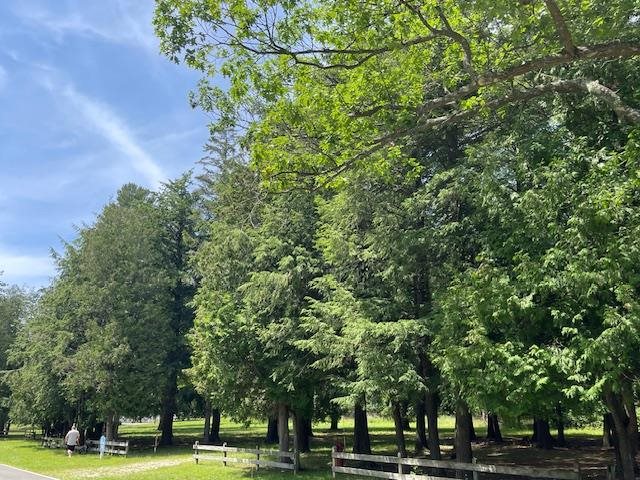 580 West Bluff Drive - Lot C Unit: LOT B