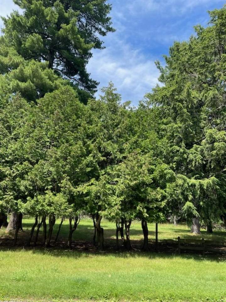 580 West Bluff Drive - Lot C Unit: LOT B