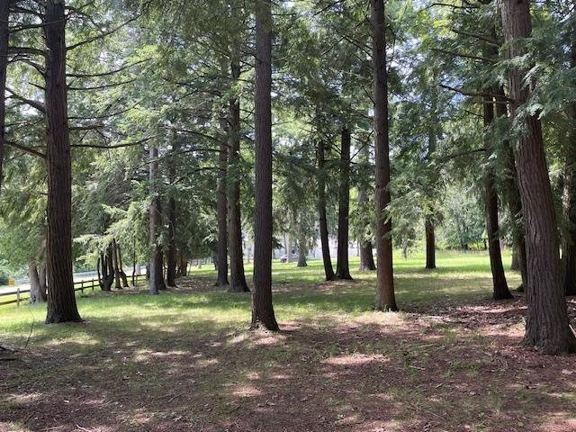 580 West Bluff Drive - Lot C Unit: LOT B