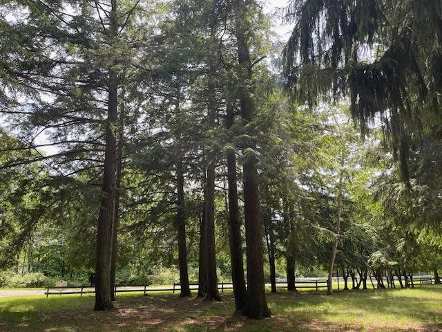 580 West Bluff Drive - Lot C Unit: LOT B