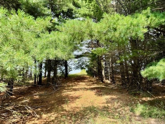 TBD Dyer Road