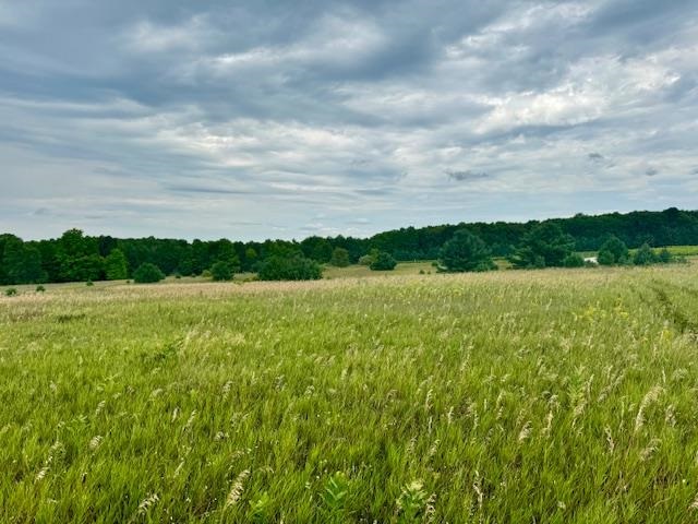 TBD Dyer Road