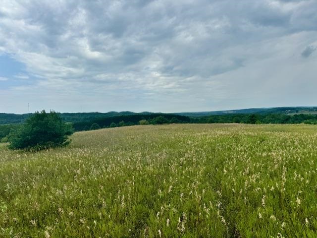 TBD Dyer Road