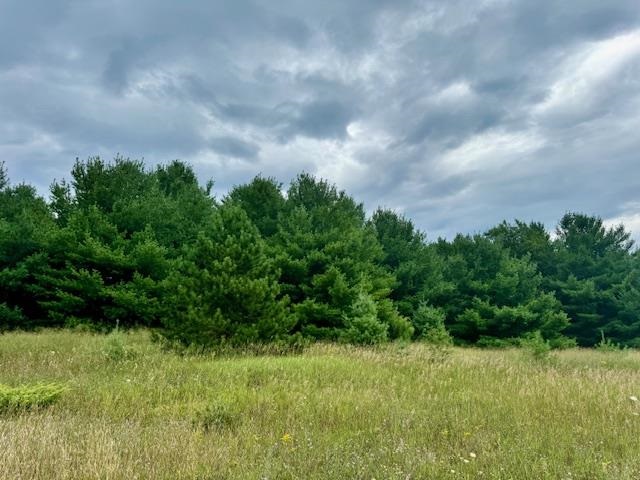 TBD Dyer Road