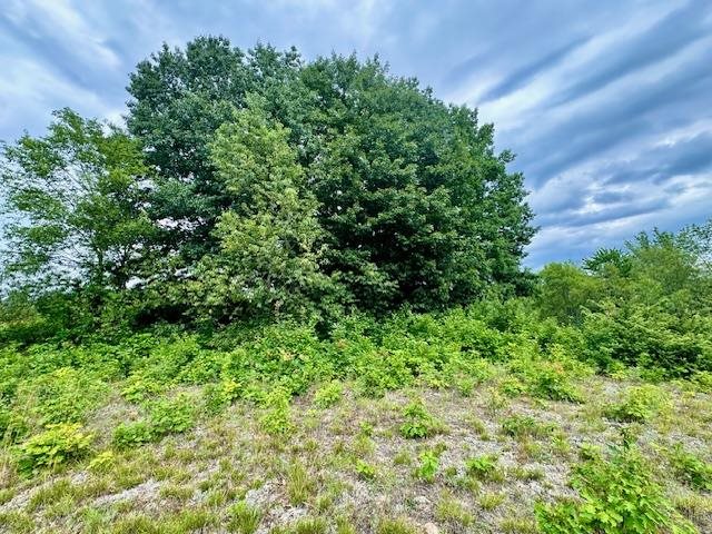 TBD Dyer Road
