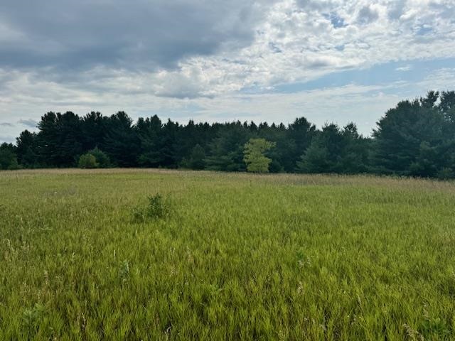 TBD Dyer Road