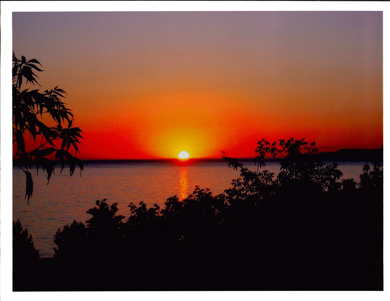 5365 Windward Passage