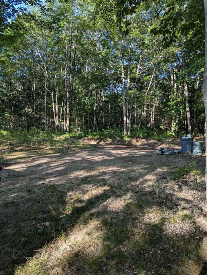 3356 Phelps Road