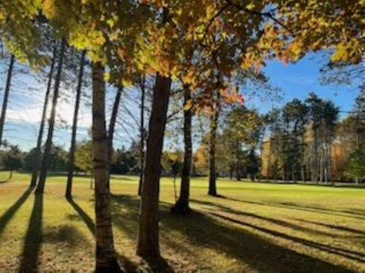 2256 Pinecrest Unit: 354