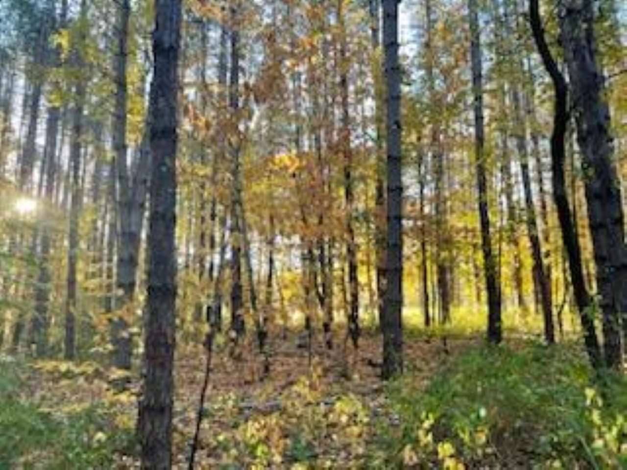 2256 Pinecrest Unit: 354