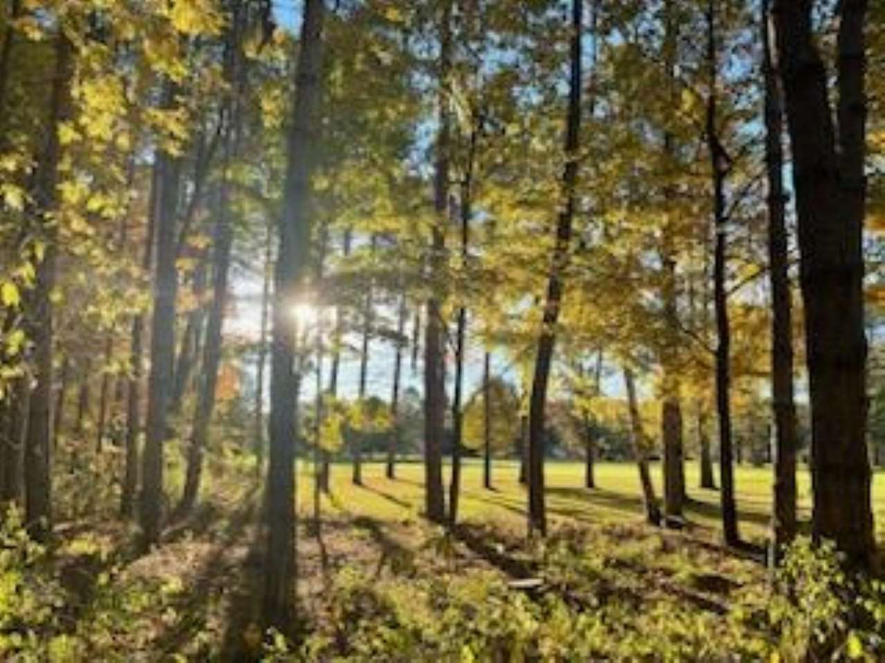 2256 Pinecrest Unit: 354