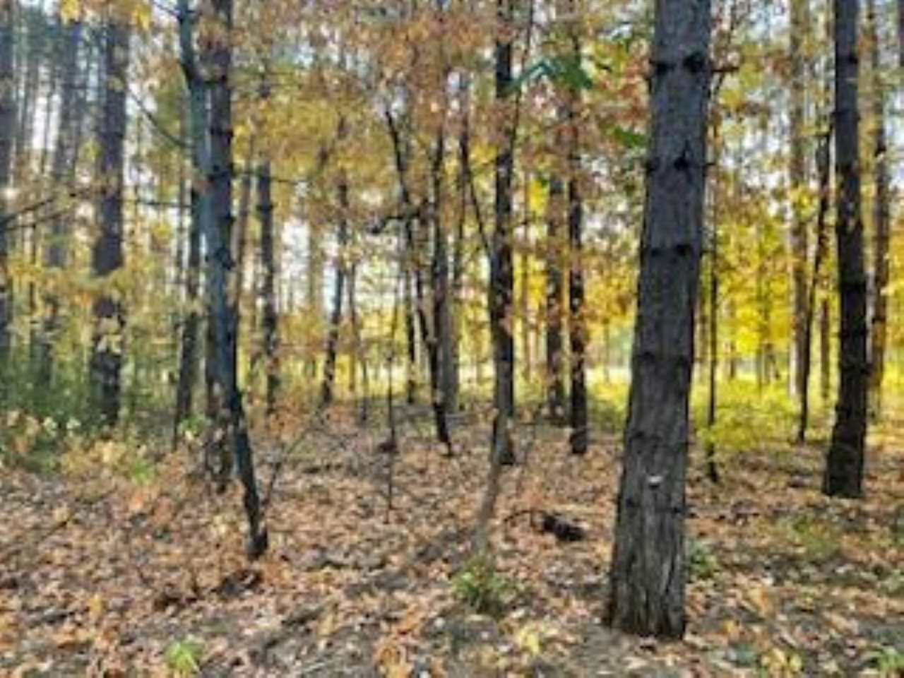 2256 Pinecrest Unit: 354