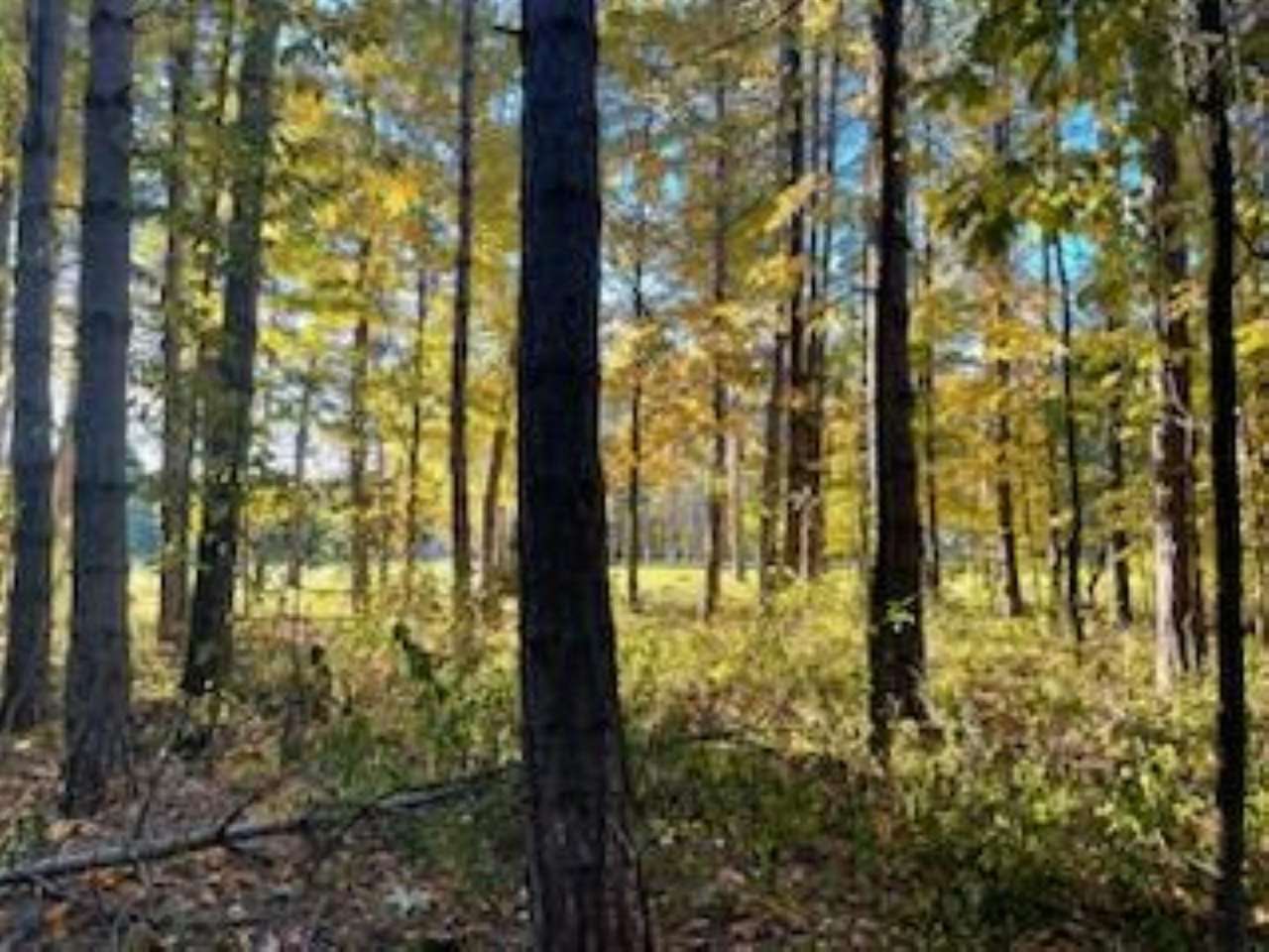 2256 Pinecrest Unit: 354