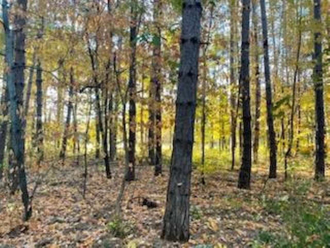 2256 Pinecrest Unit: 354