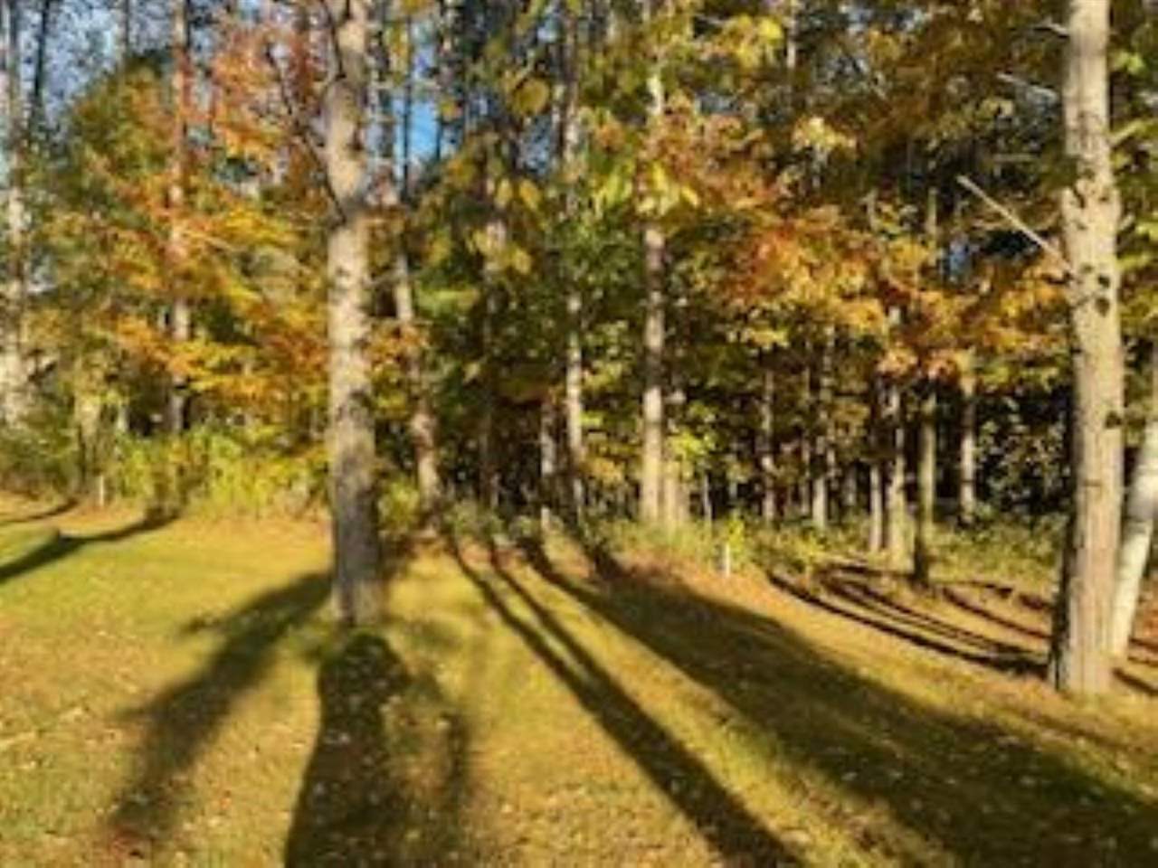 2256 Pinecrest Unit: 354