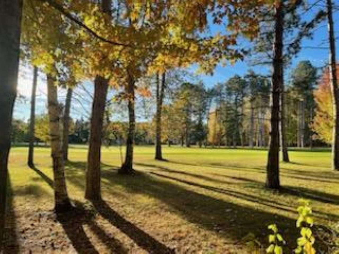 2256 Pinecrest Unit: 354