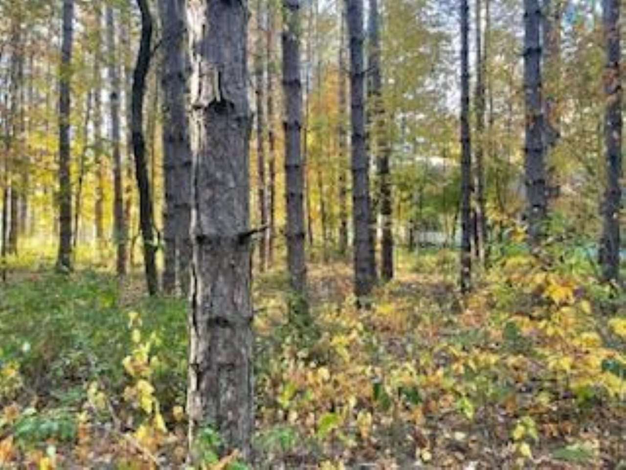 2256 Pinecrest Unit: 354