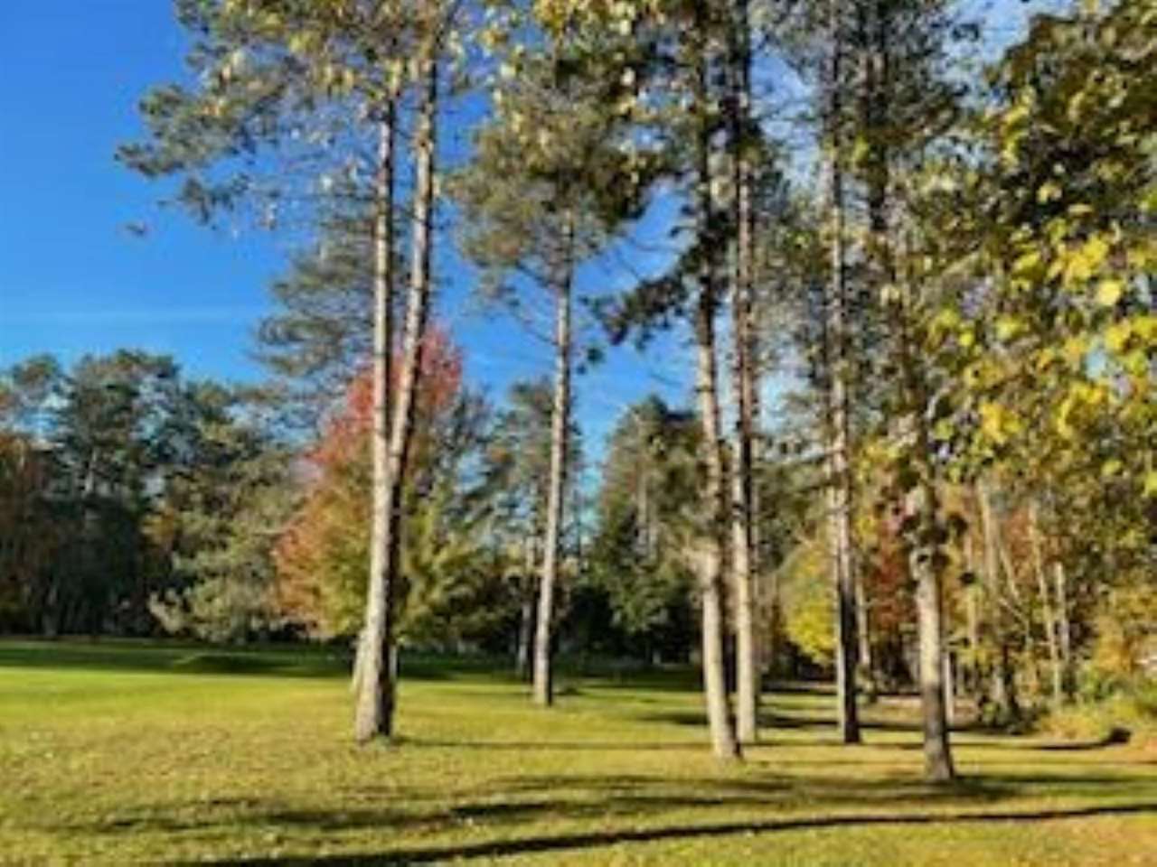 2256 Pinecrest Unit: 354