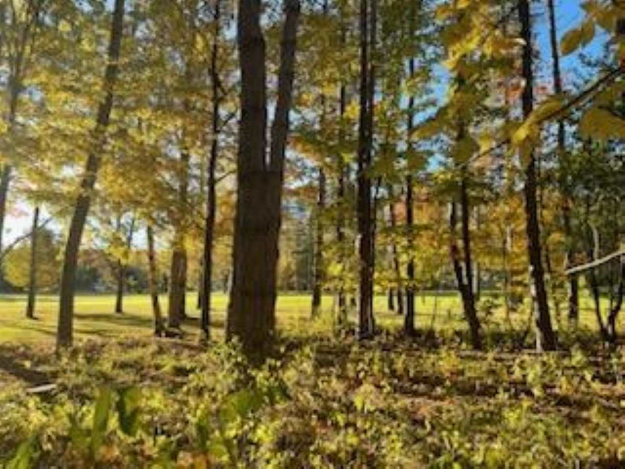 2256 Pinecrest Unit: 354