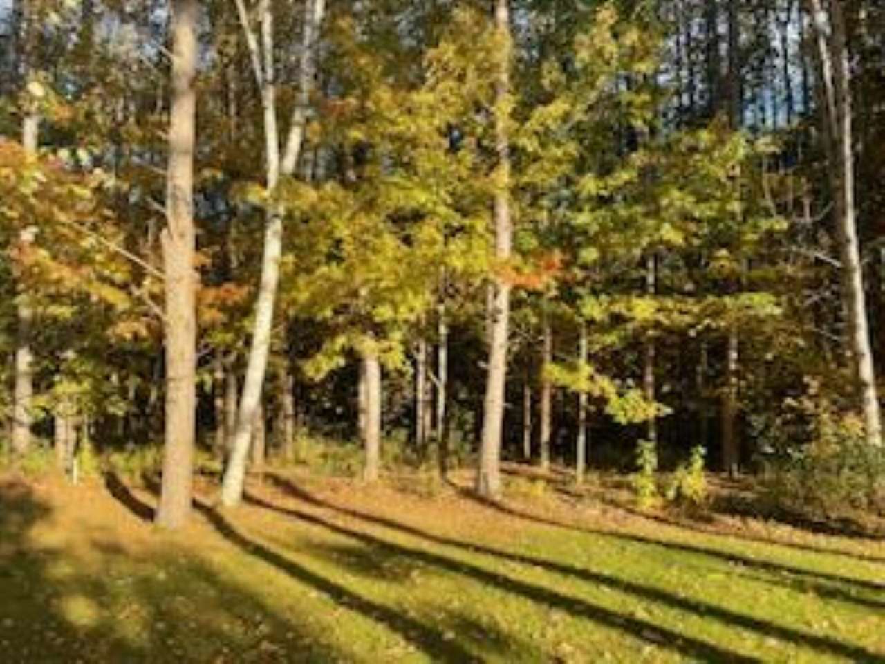 2256 Pinecrest Unit: 354