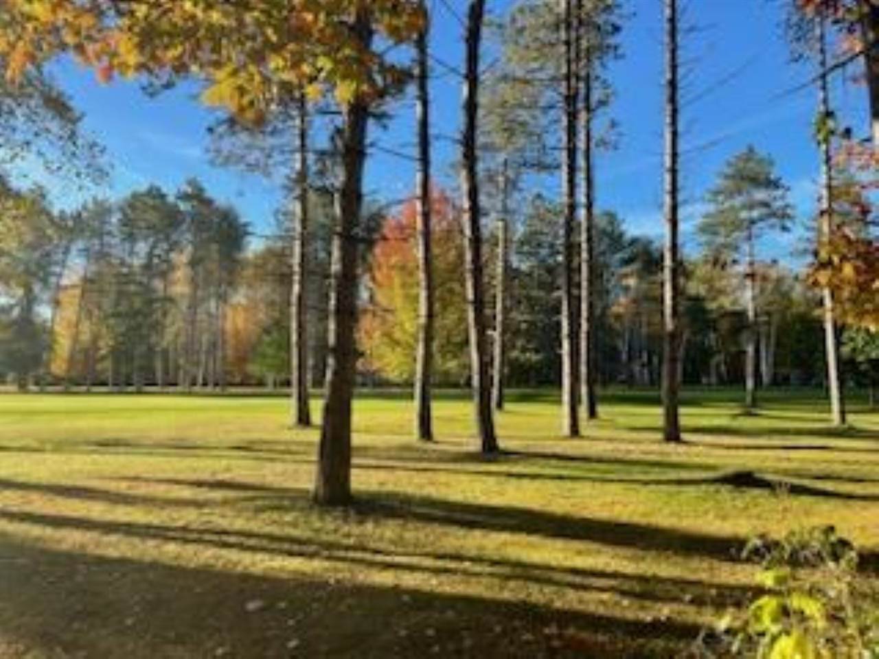 2256 Pinecrest Unit: 354